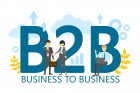 B2B PARTENERI